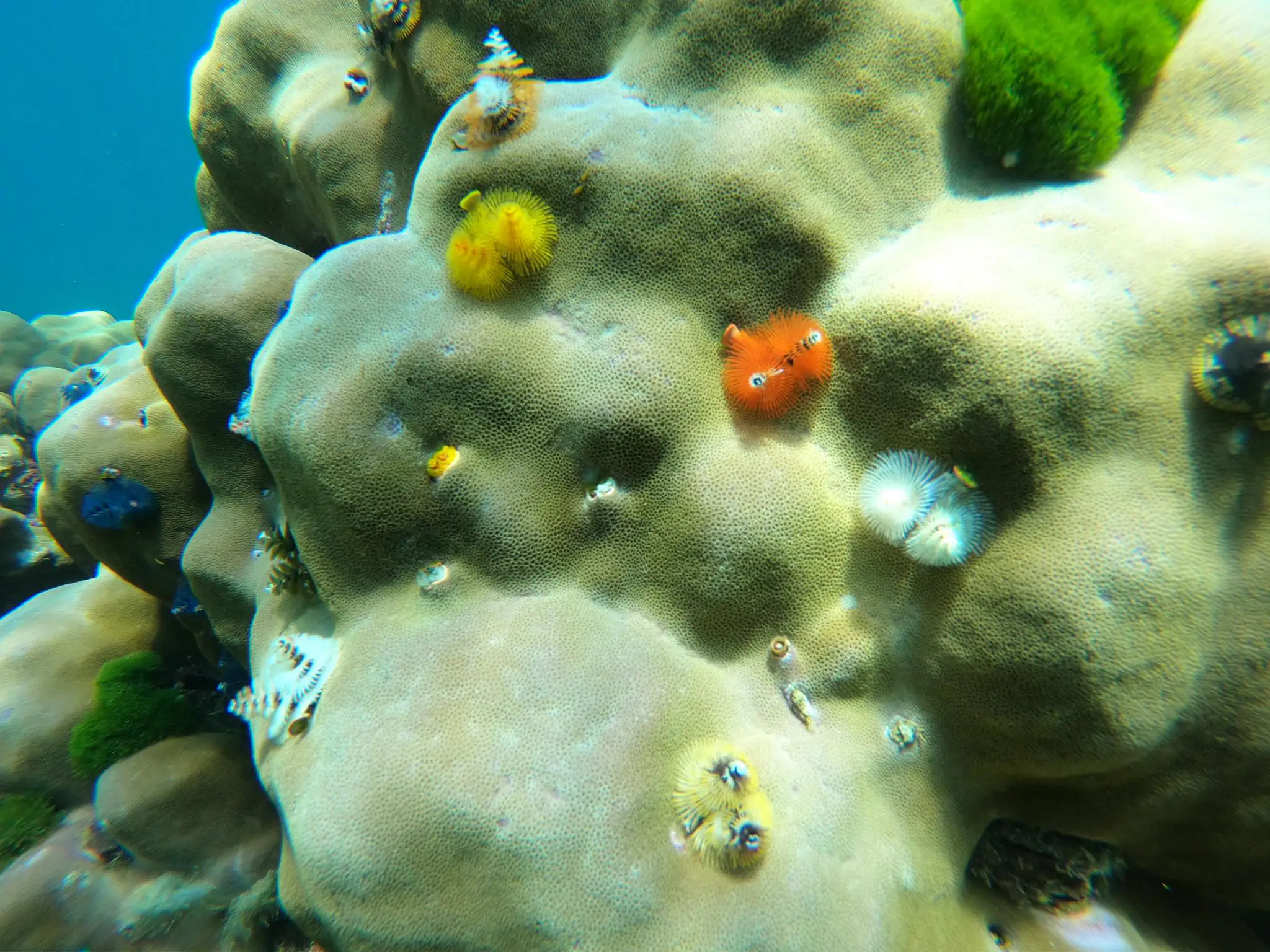 Snorkeling Rok Haa Island
