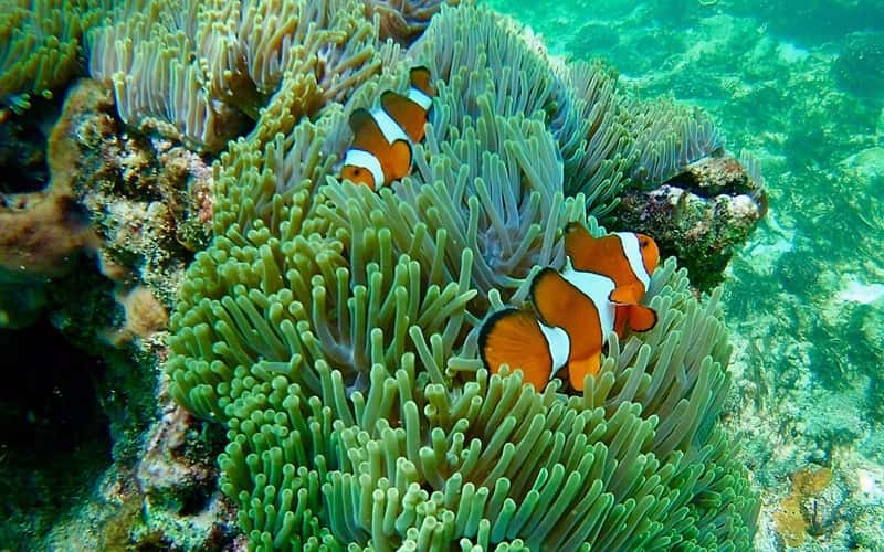 Krabi Nice Sea