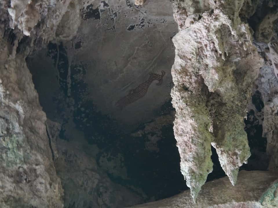 Sea Cave Kayaking