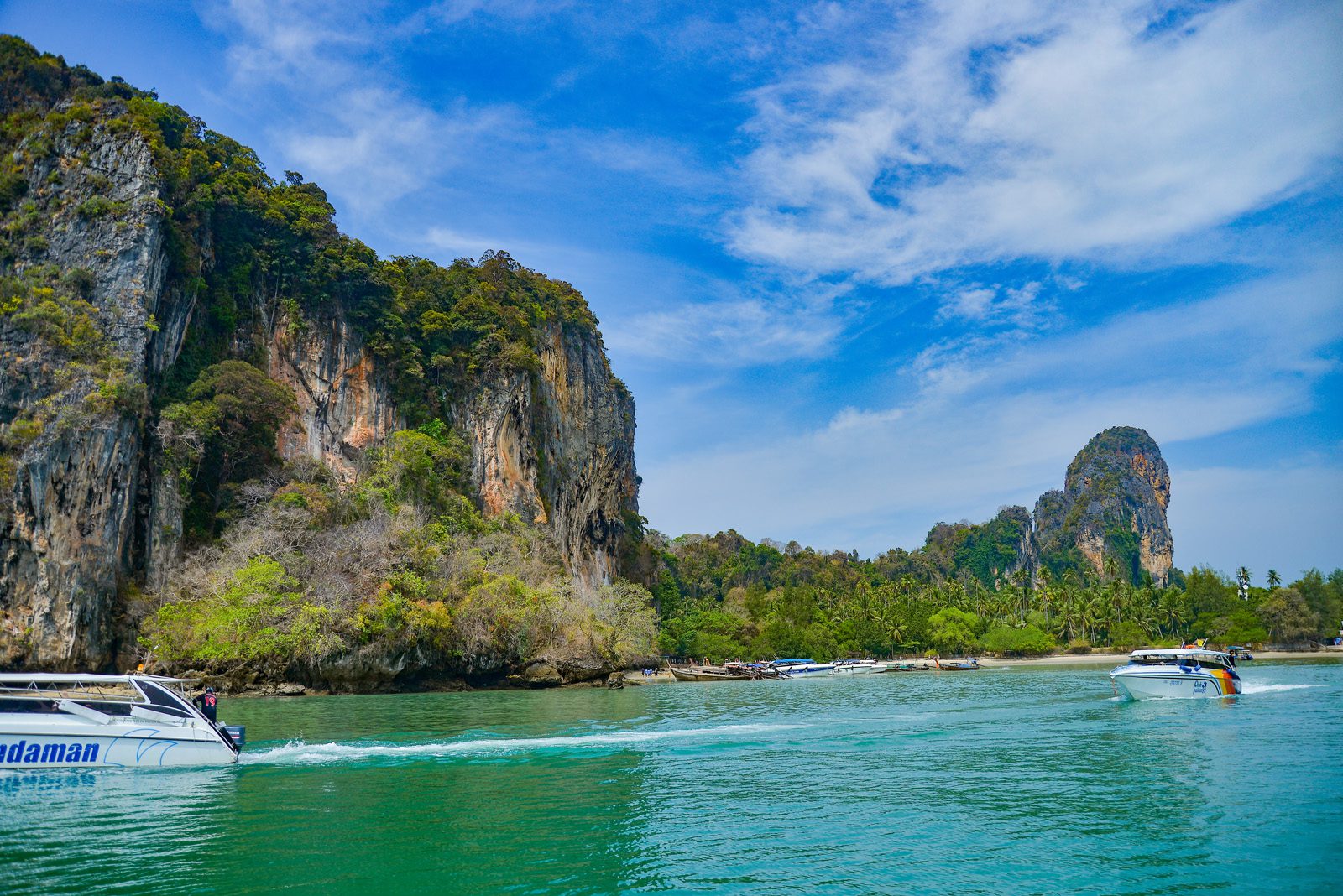 early bird phi phi
