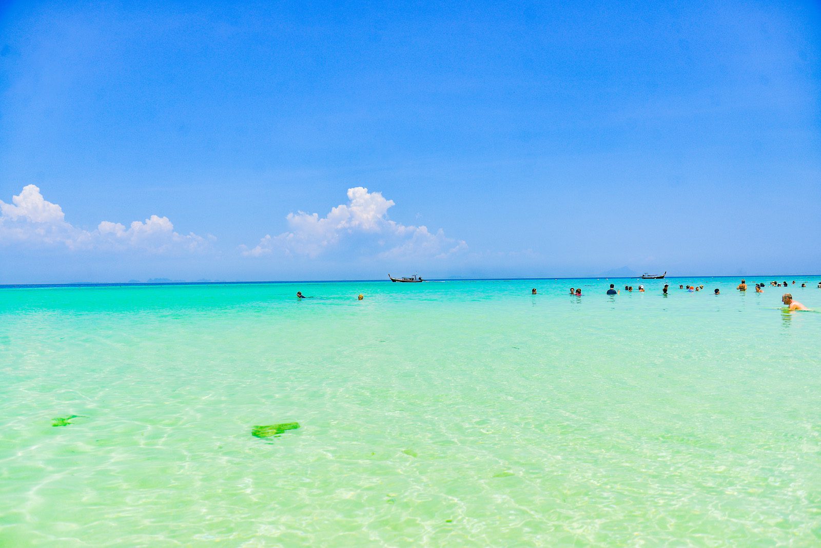 early bird phi phi
