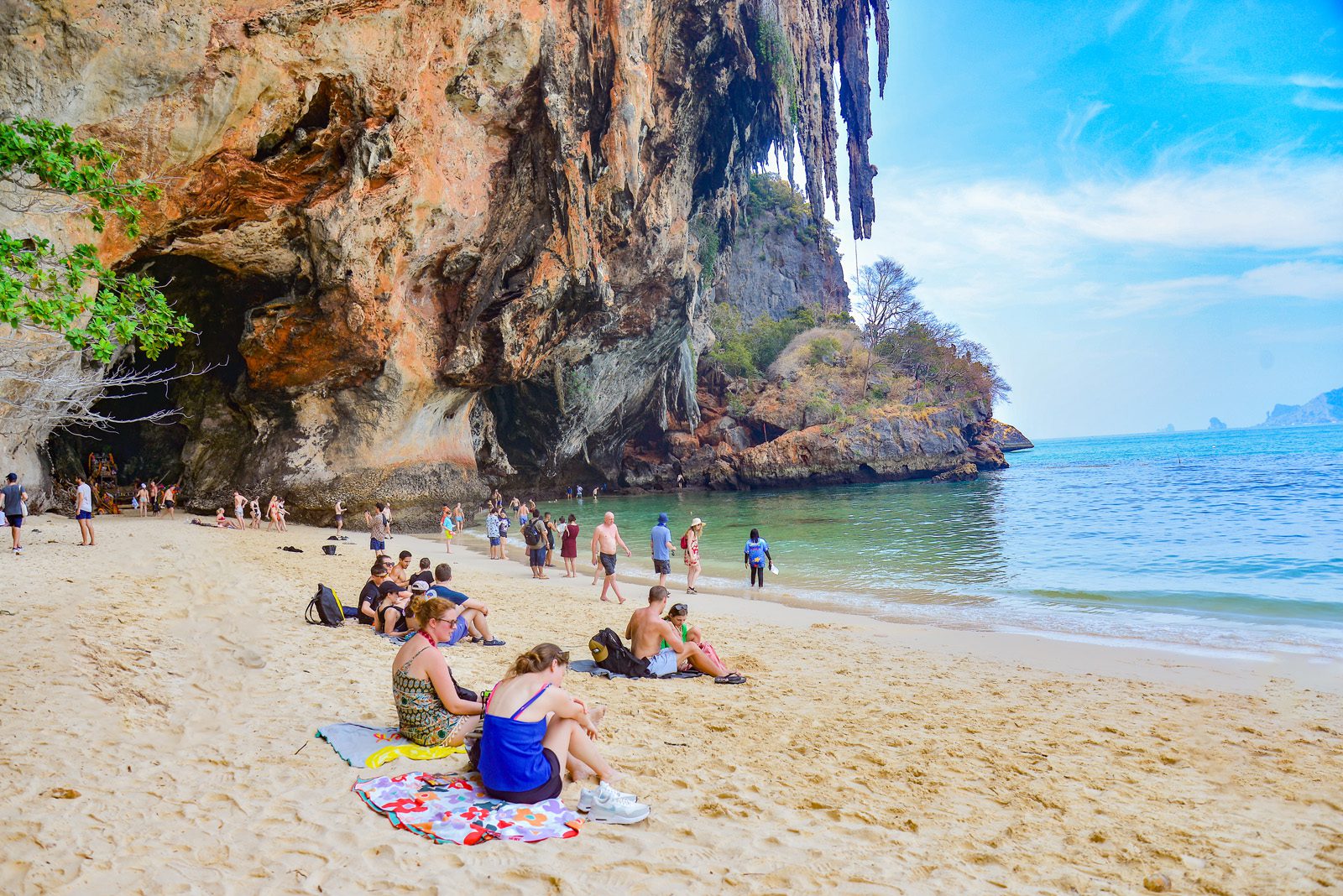early bird phi phi