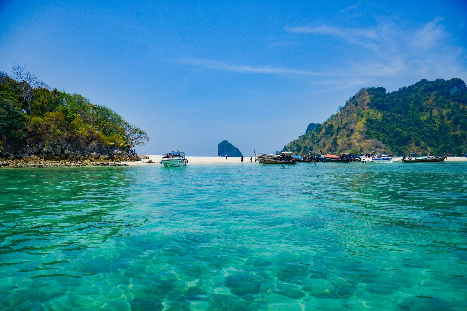 early bird phi phi