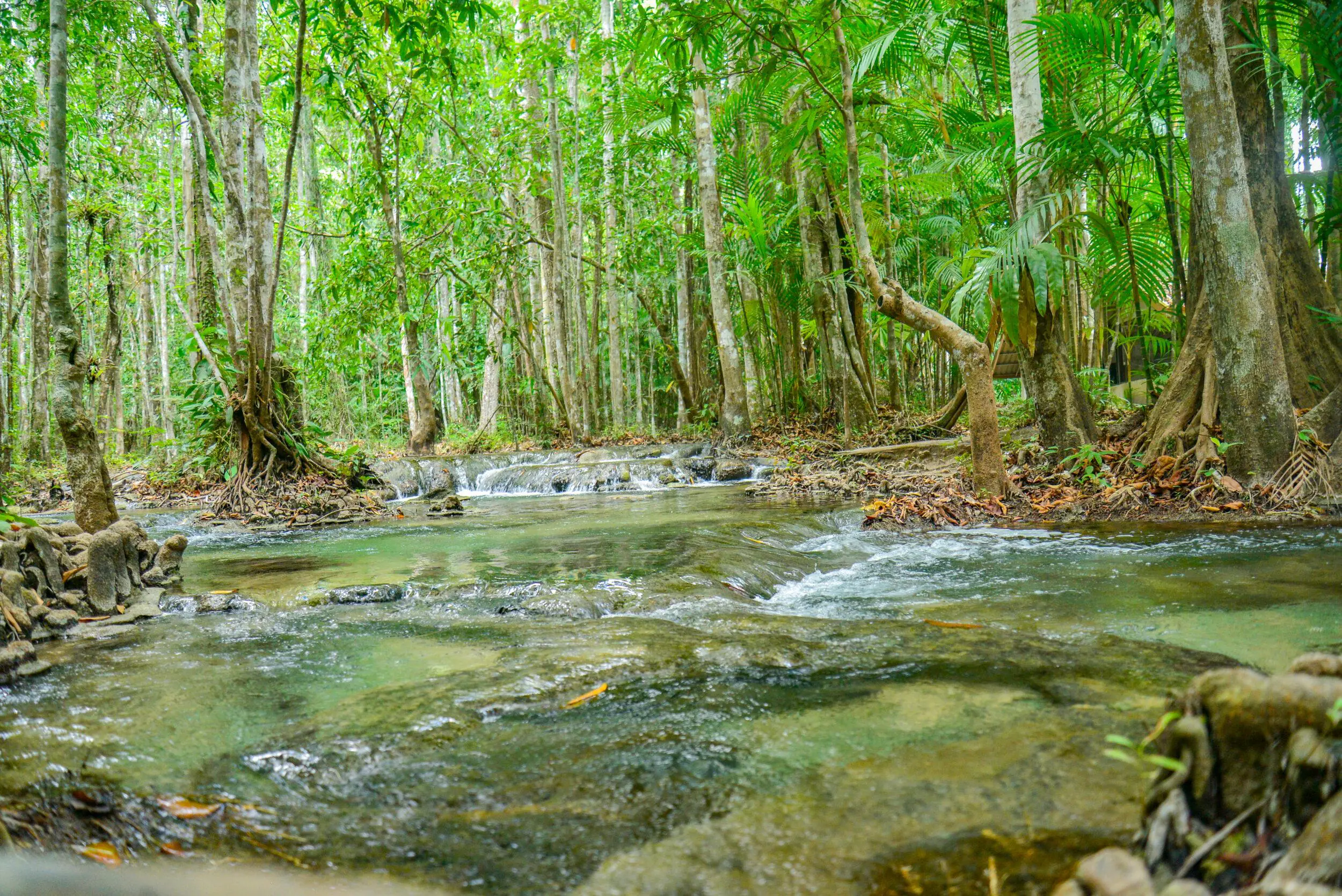 Emerald pool and Hot Spring