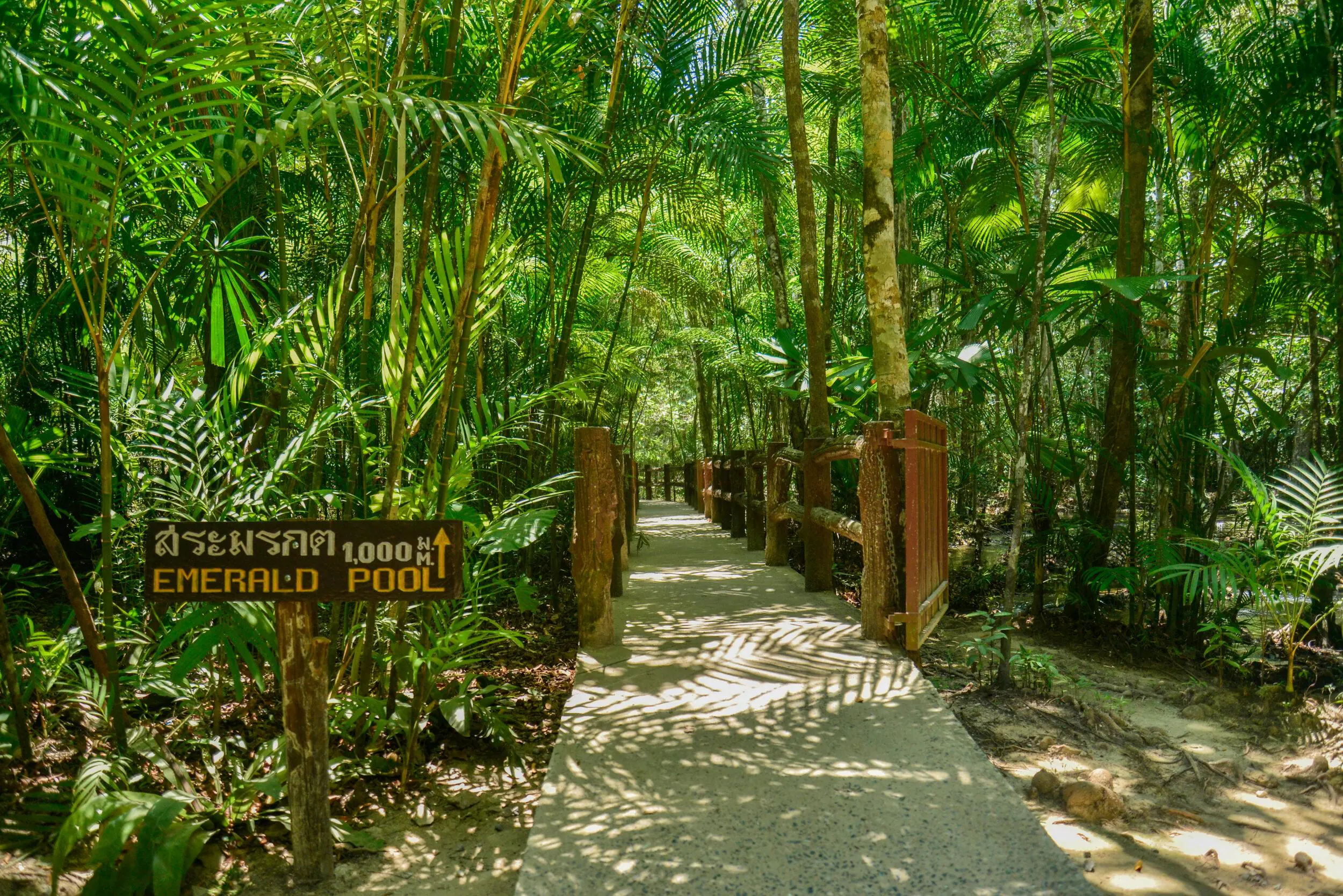 Emerald pool and Hot Spring