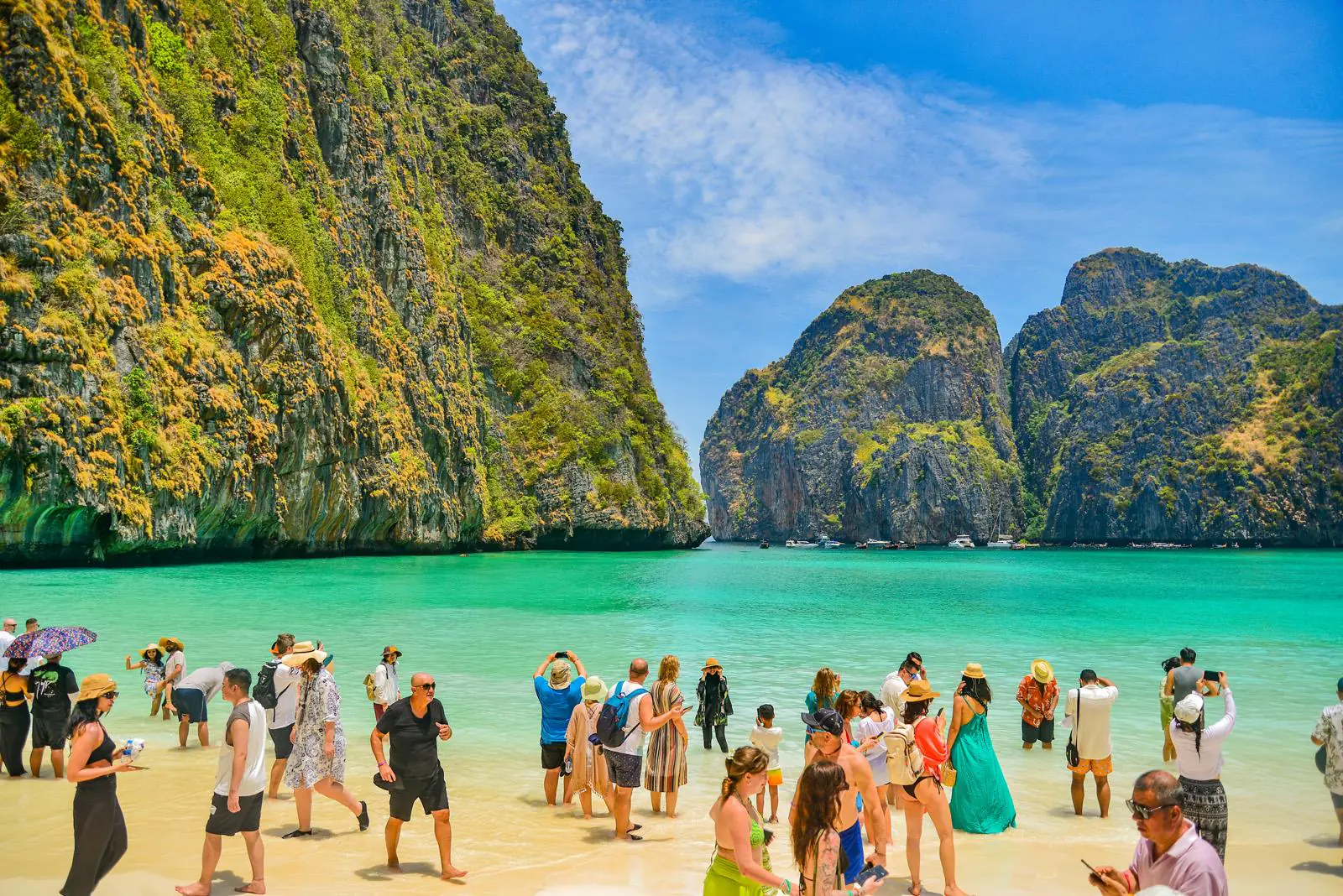 Phi Phi Island