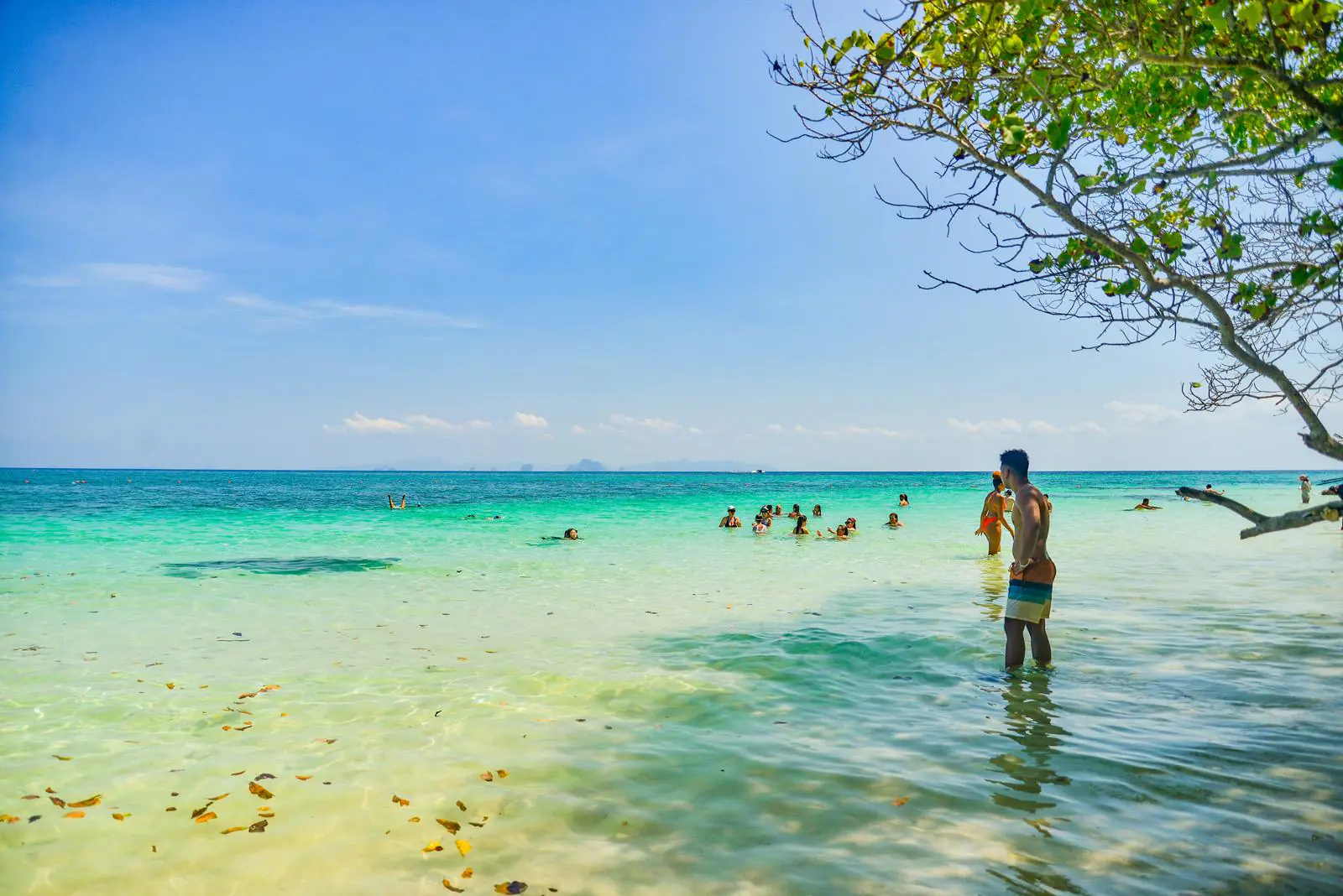 Phi Phi Island