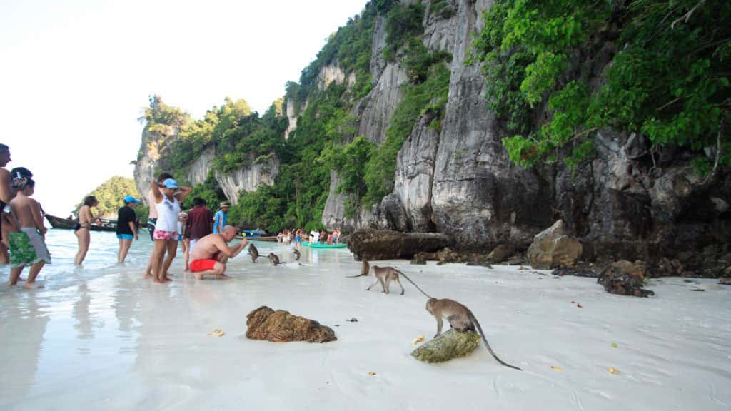 bamboo island snorkeling, snorkeling from phi phi