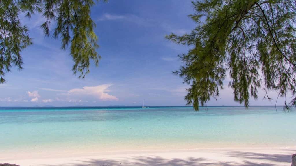 bamboo island snorkeling, snorkeling from phi phi