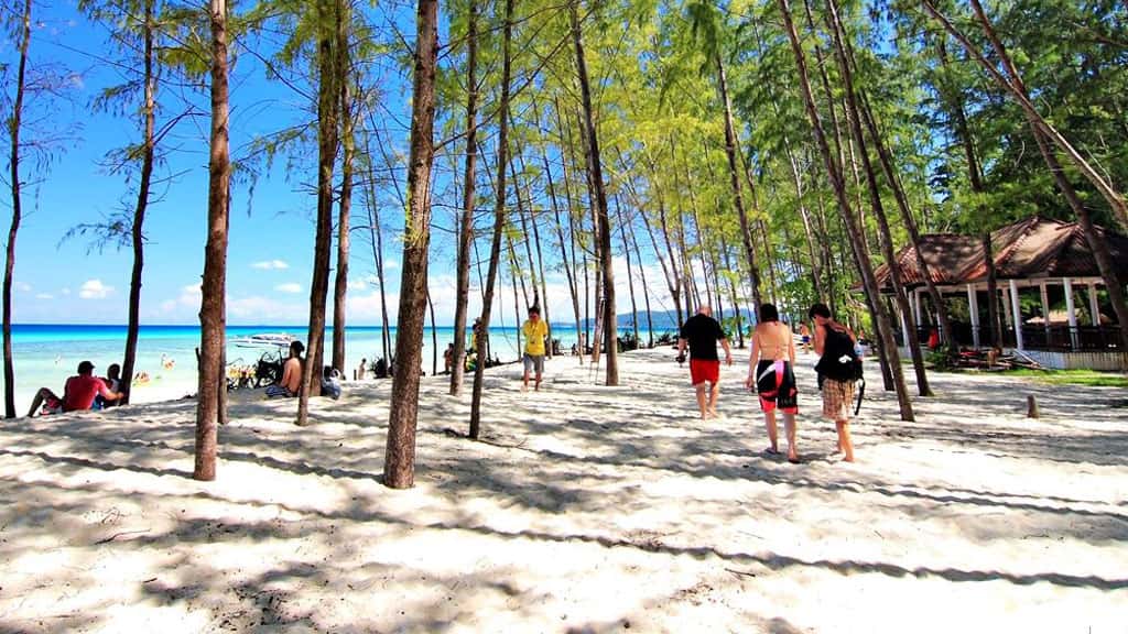 bamboo island snorkeling, snorkeling from phi phi