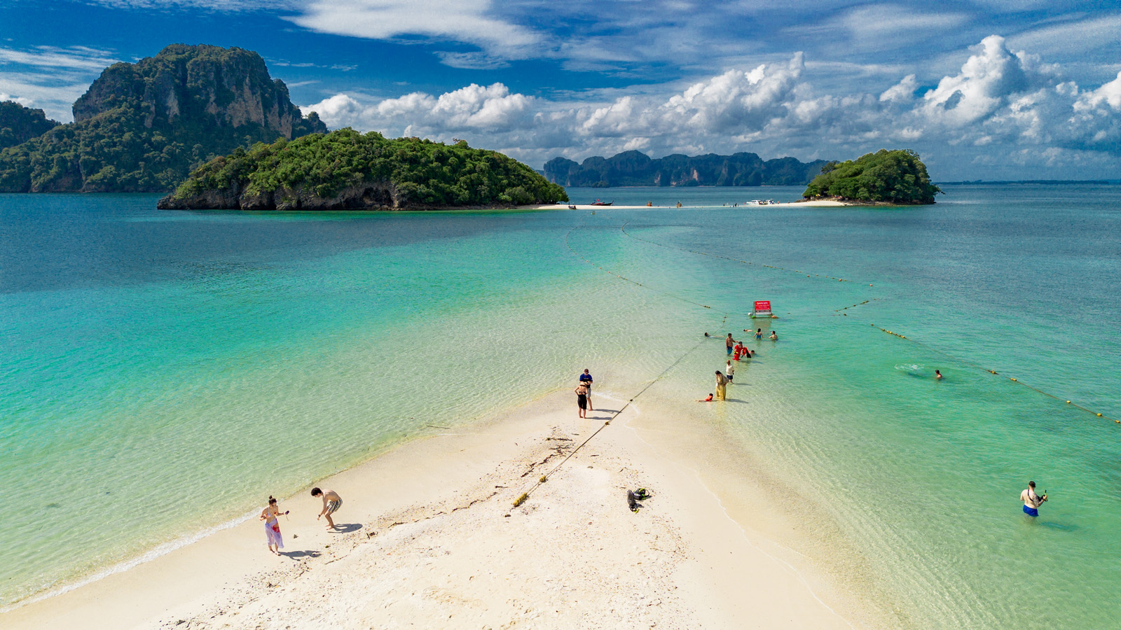 Krabi bioluminescent plankton tour