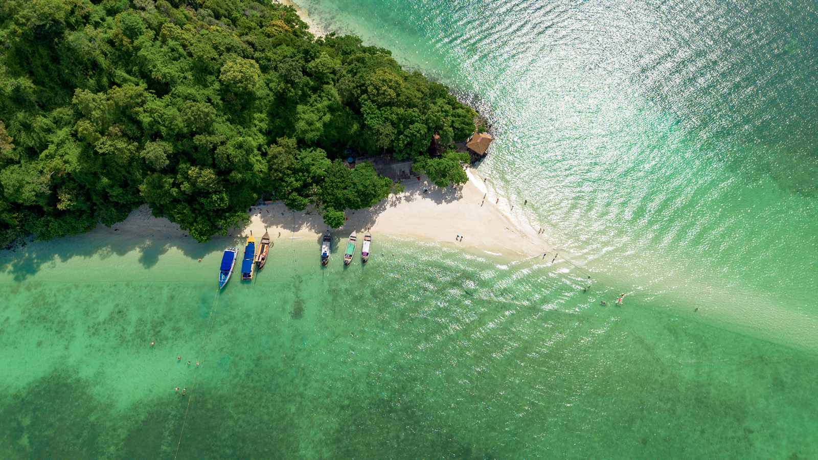 Krabi bioluminescent plankton tour