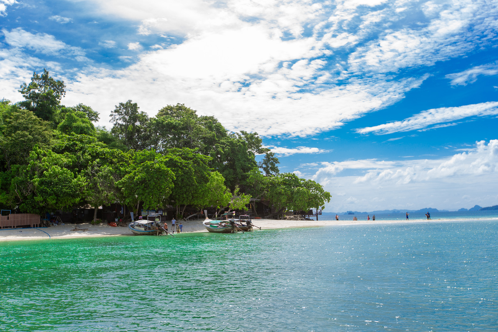 Krabi bioluminescent plankton tour