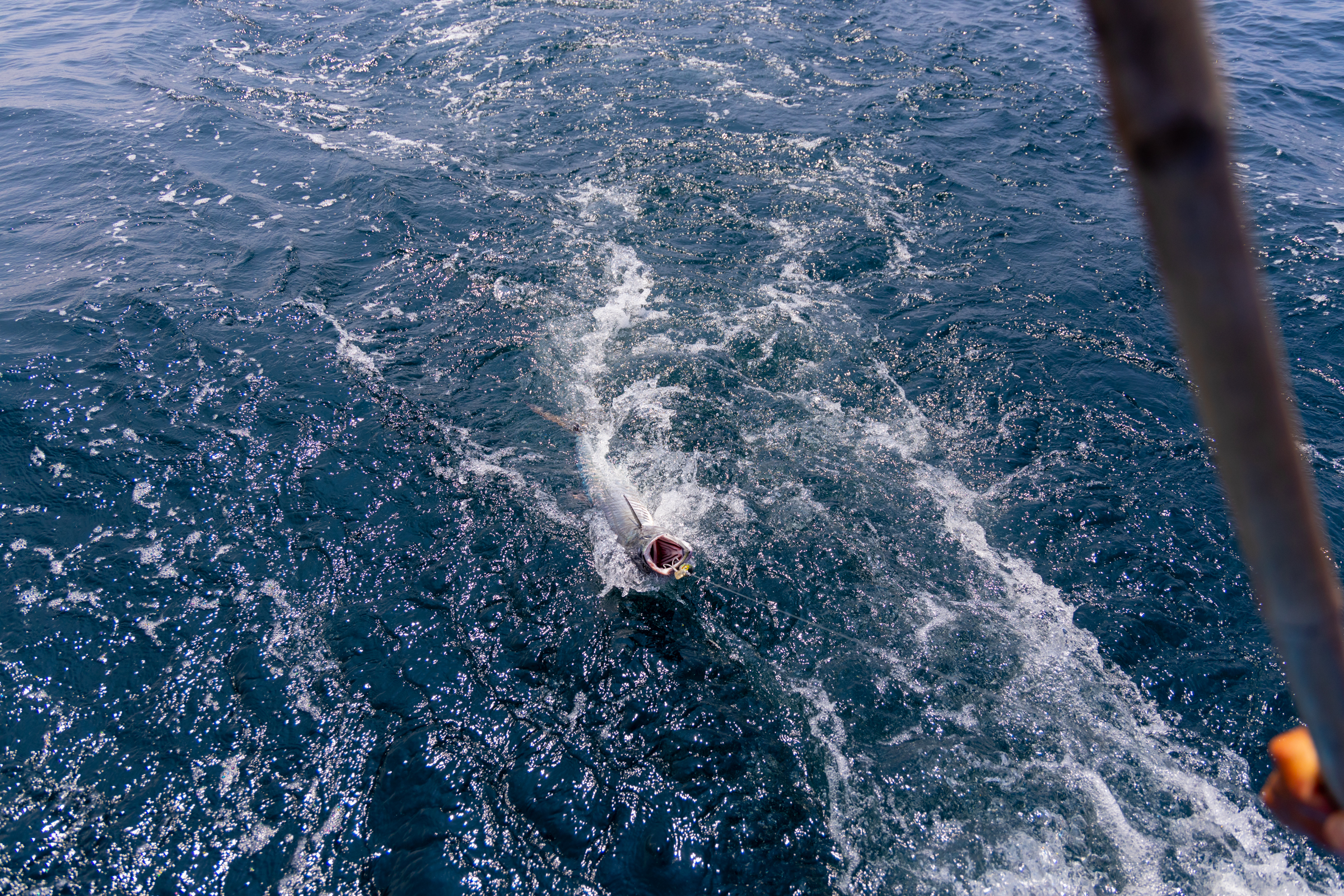 racha island fishing game from phuket