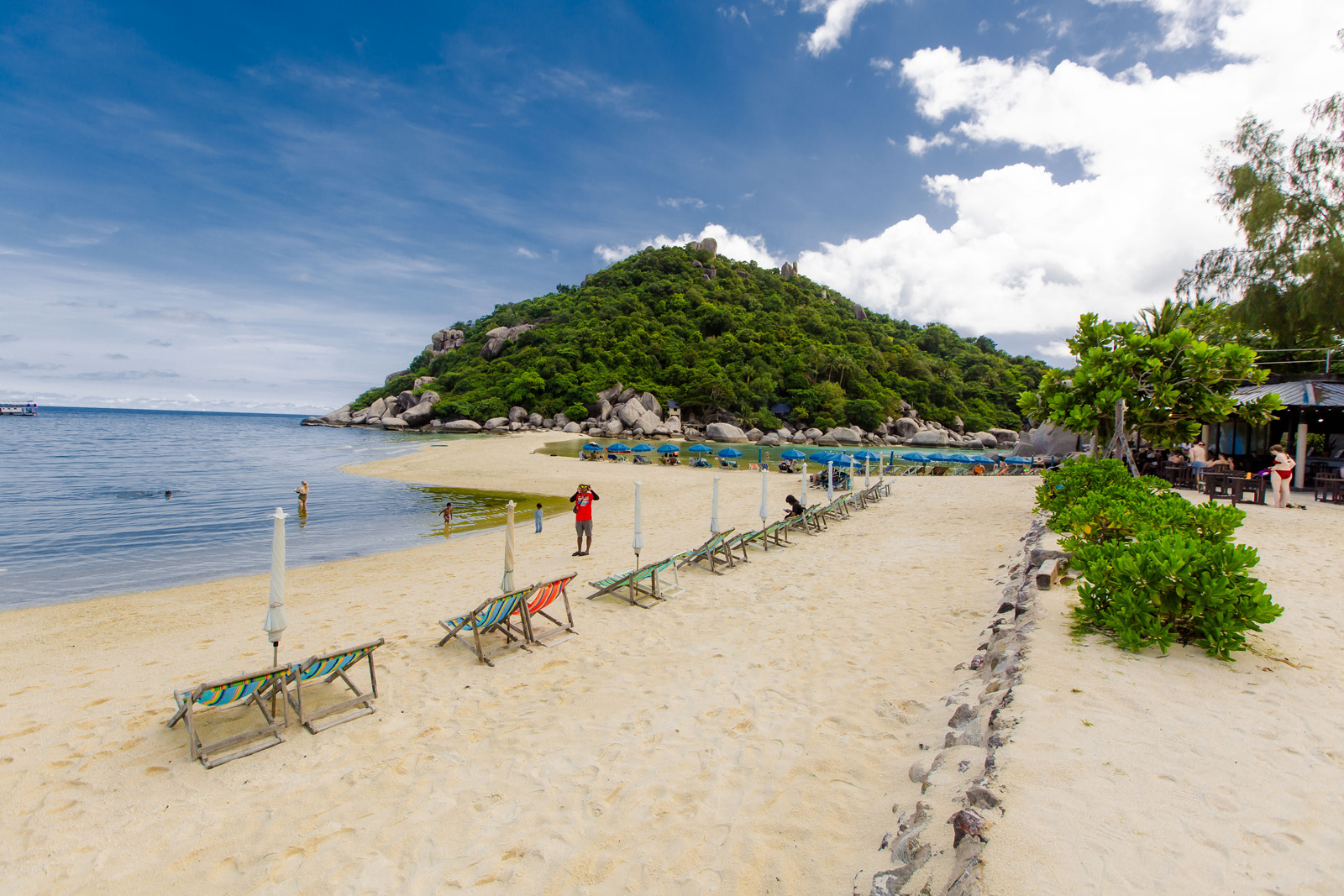koh tao snorkeling tour