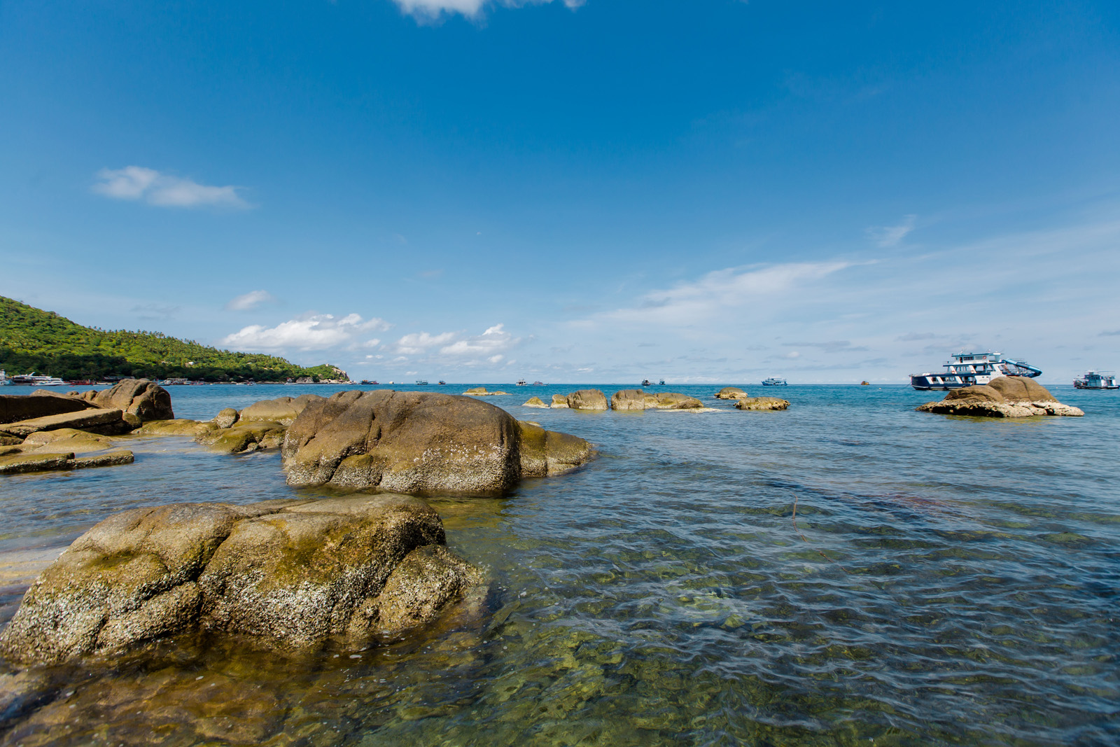 koh tao snorkeling tour