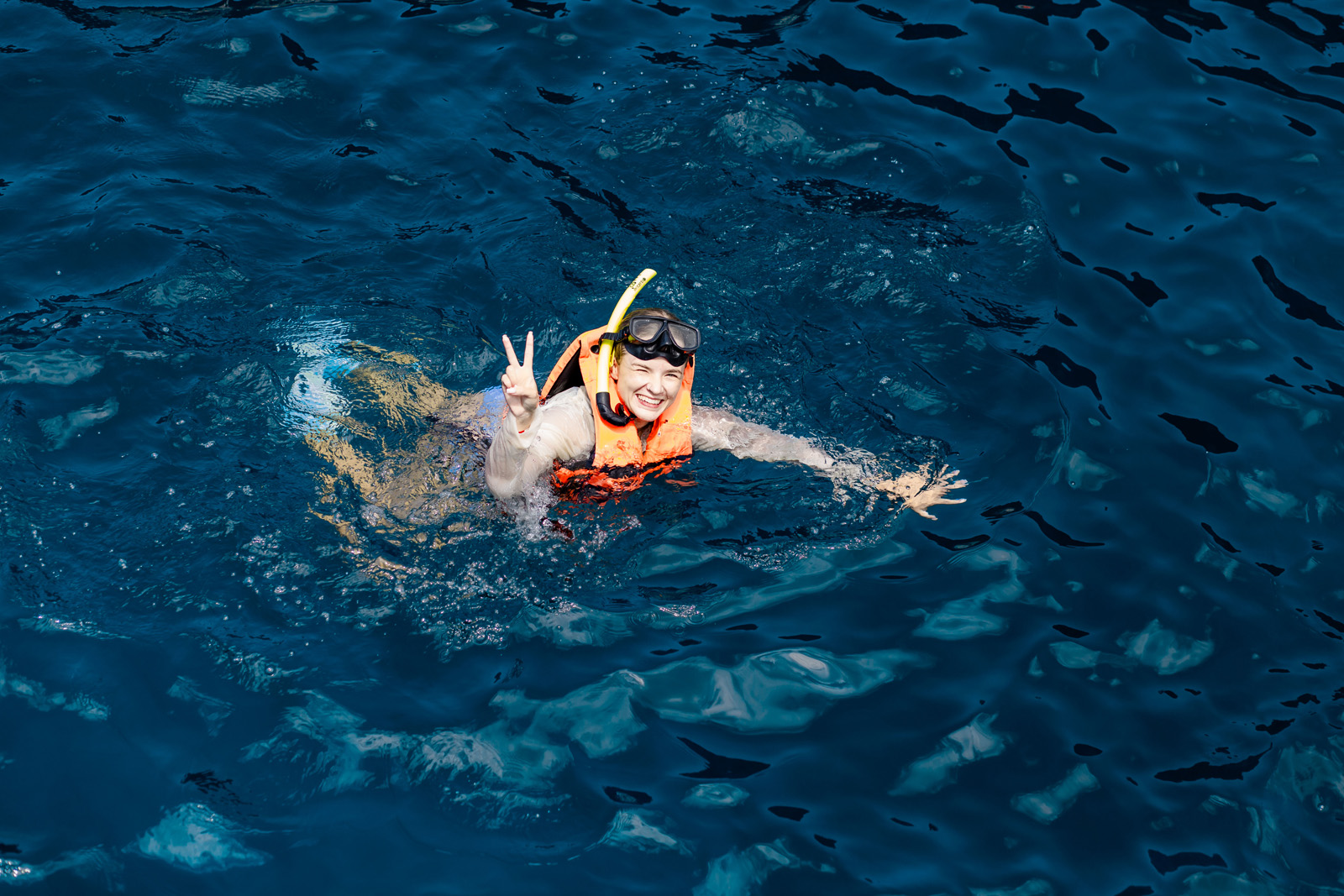 koh tao snorkeling tour