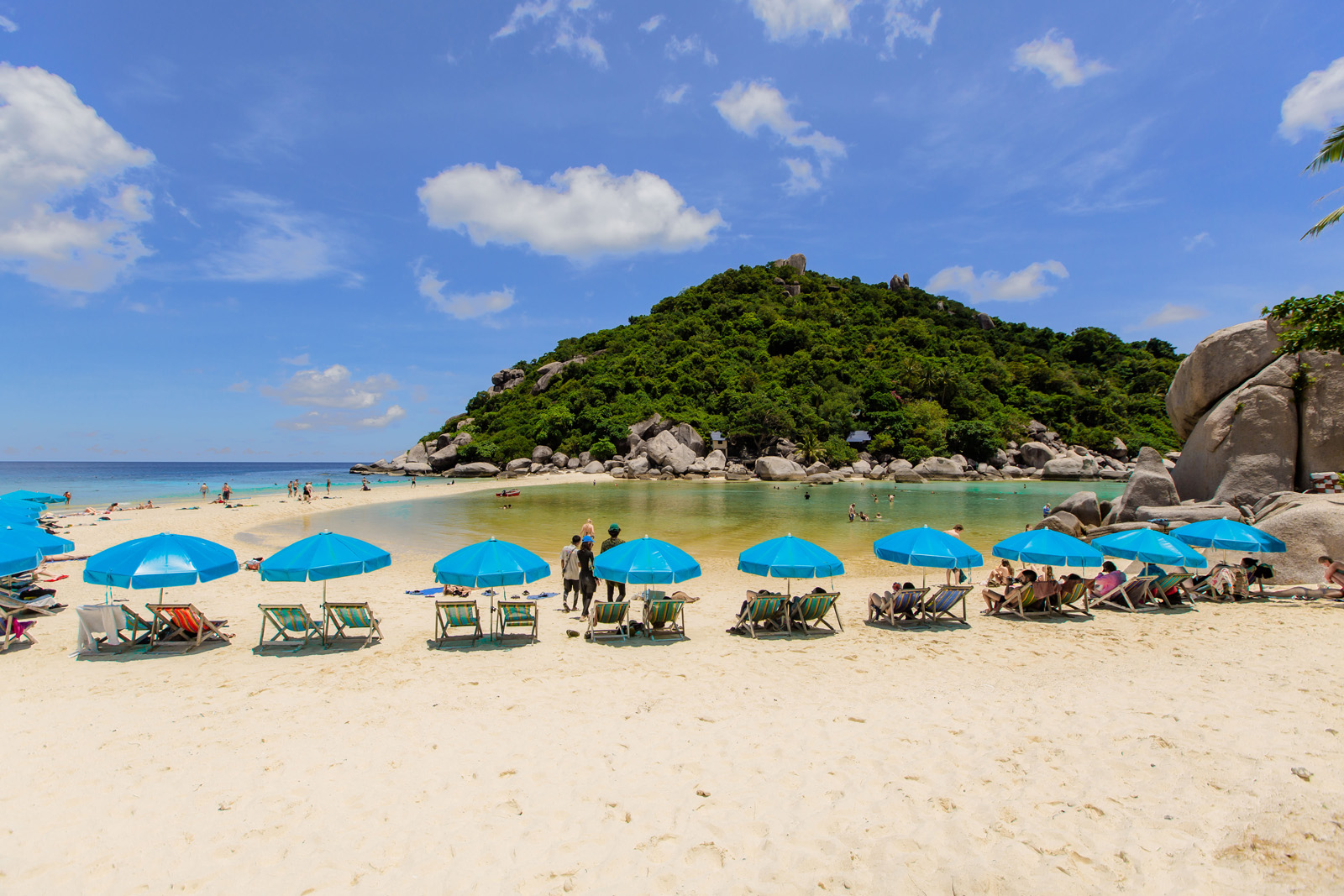 snorkeling koh nang yuan