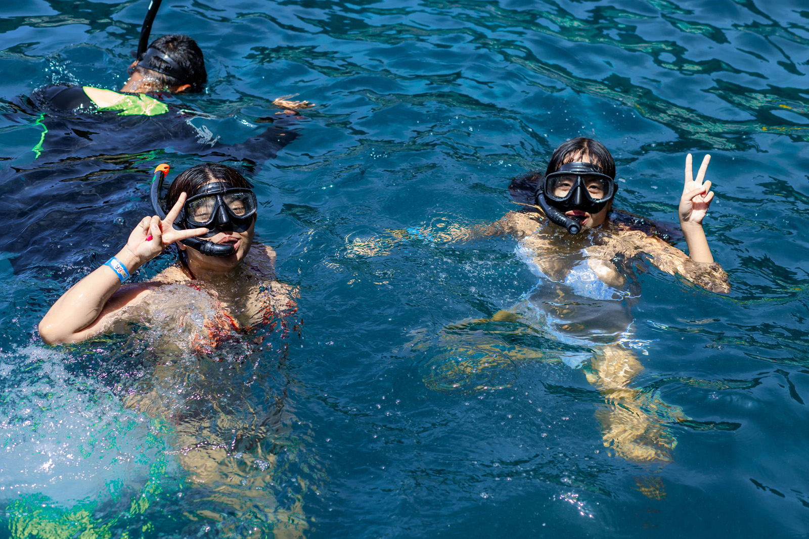 snorkeling koh nang yuan