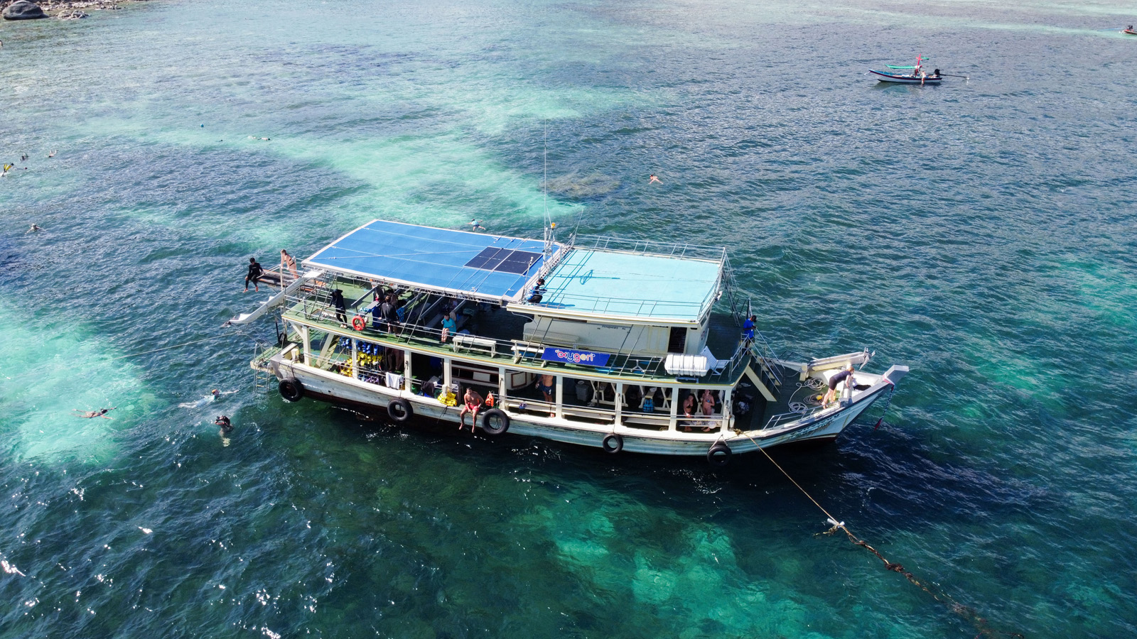 snorkeling koh nang yuan