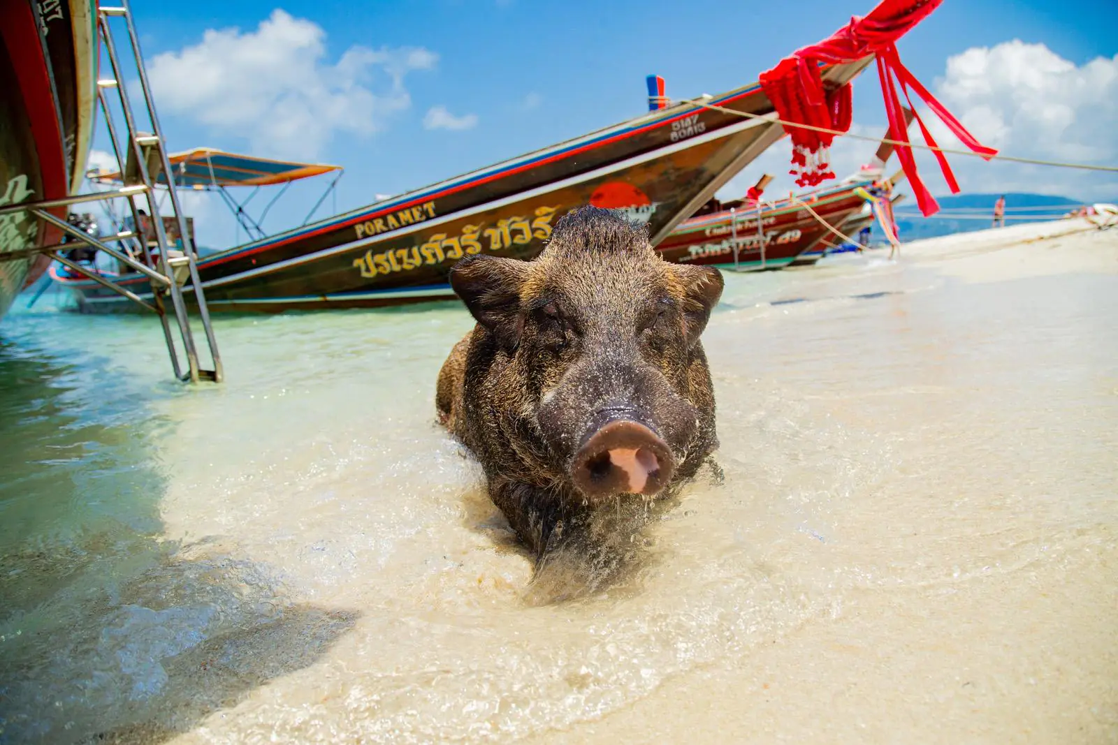 Koh Tan and Koh Madsum Snorkeling Tour From Koh Samui