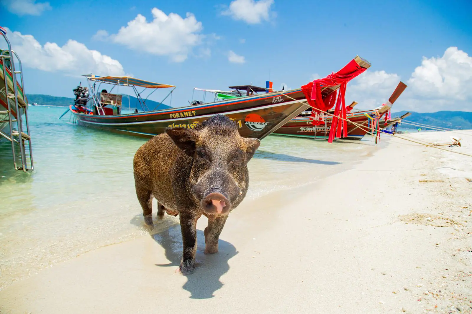 Koh Tan and Koh Madsum Snorkeling Tour From Koh Samui