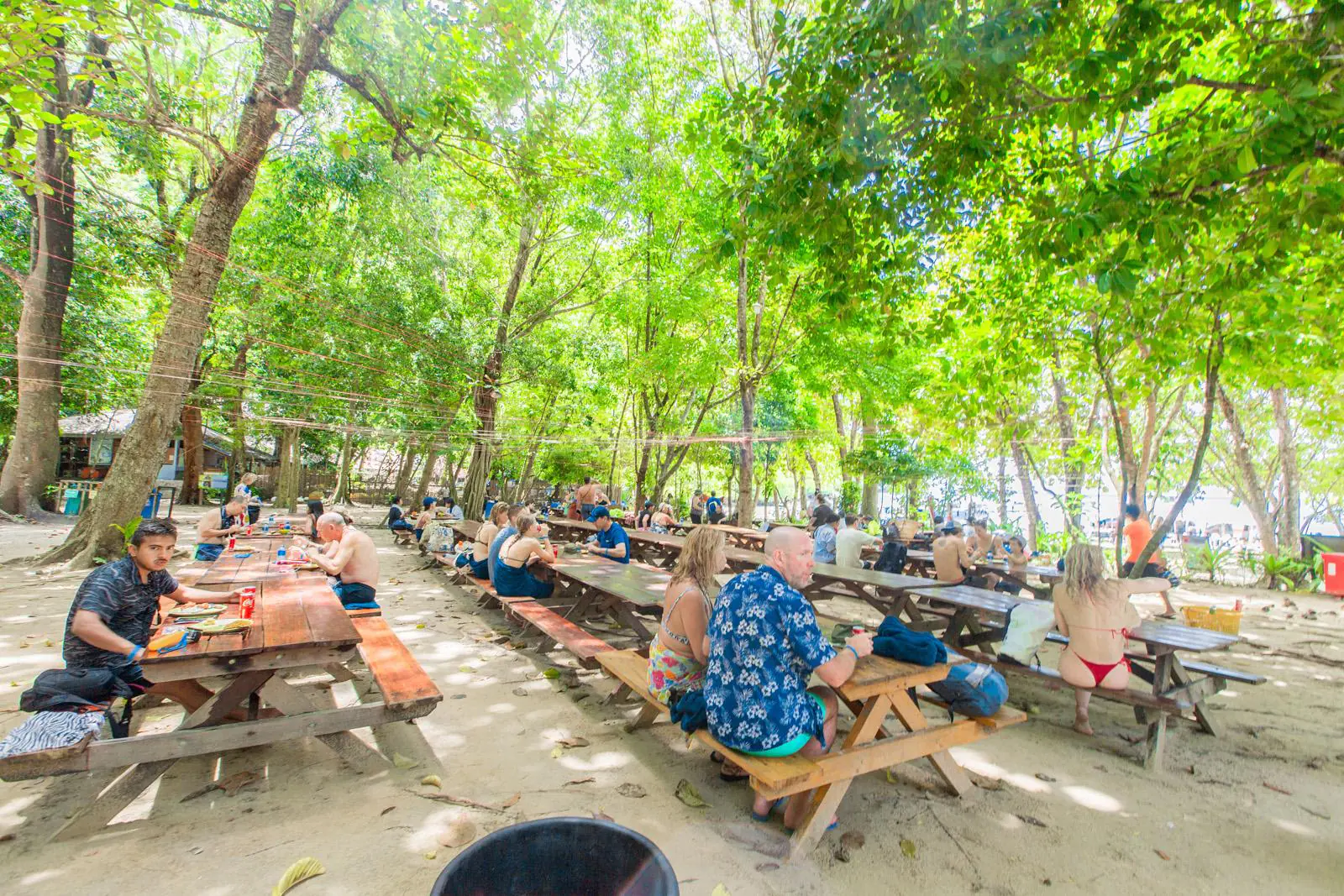 Placeholder