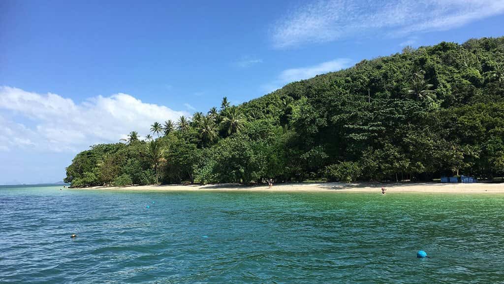 Placeholder