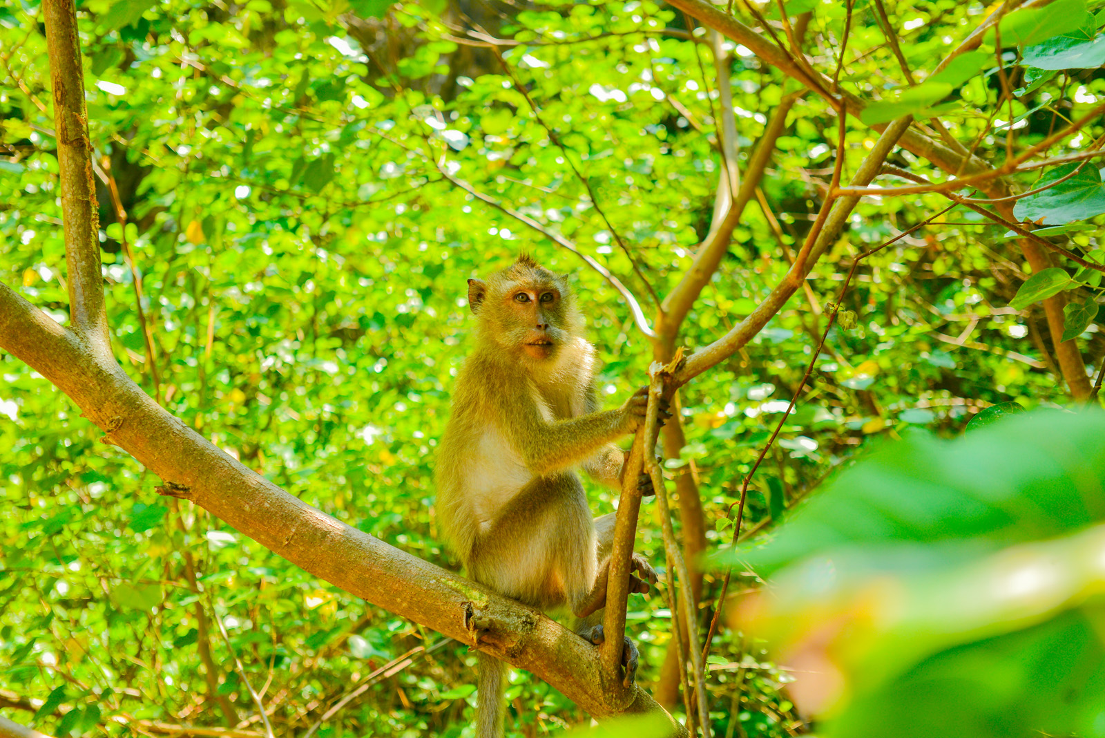 private fishing tour Koh Lanta