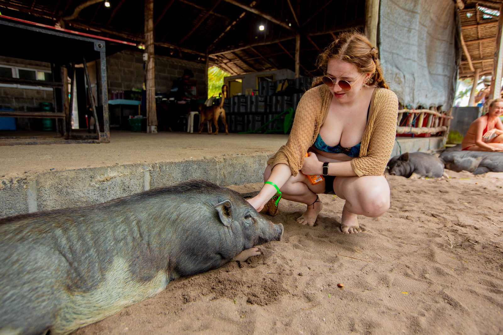 private longtail boat to pig island tour