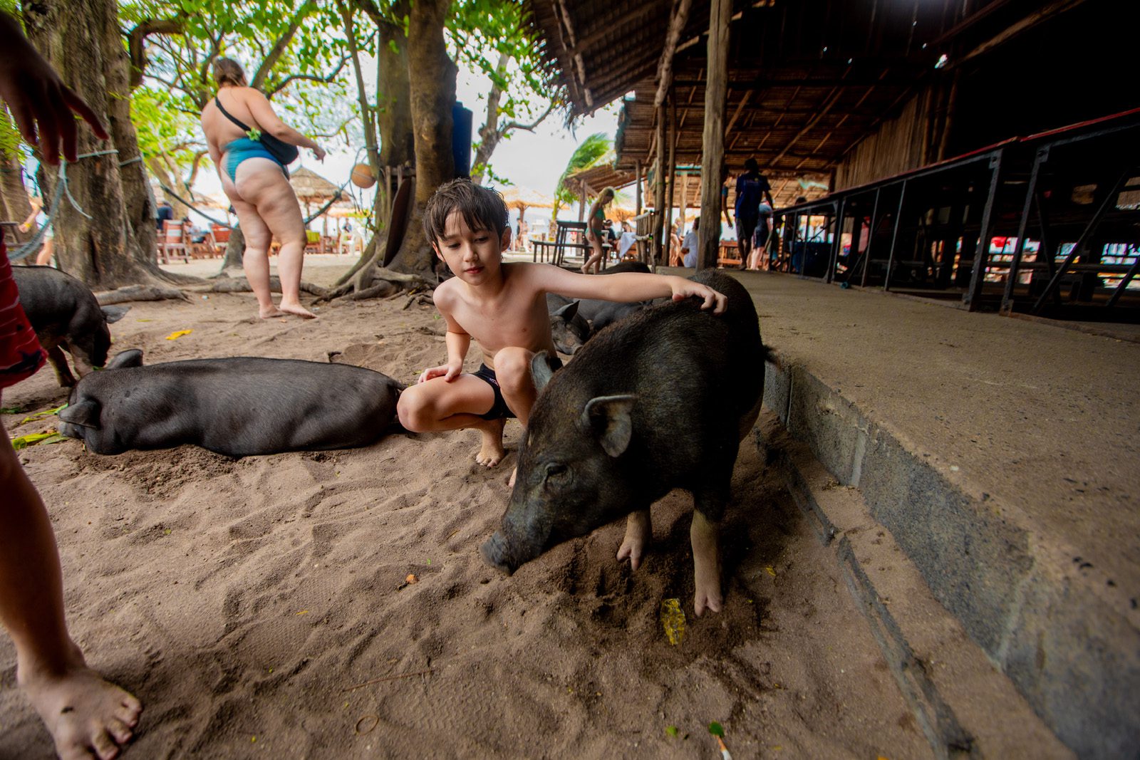 private longtail boat to pig island tour
