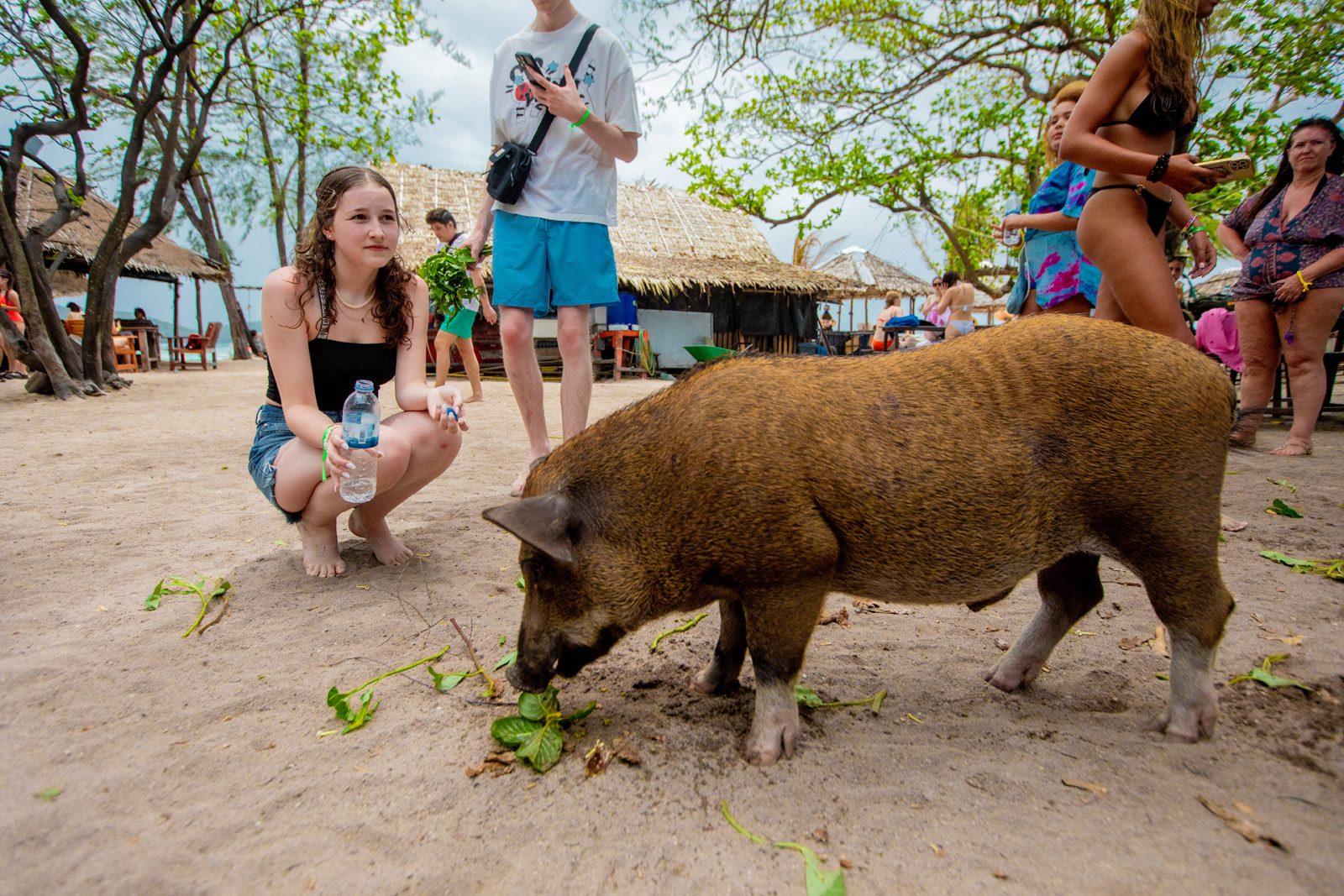 private longtail boat to pig island tour