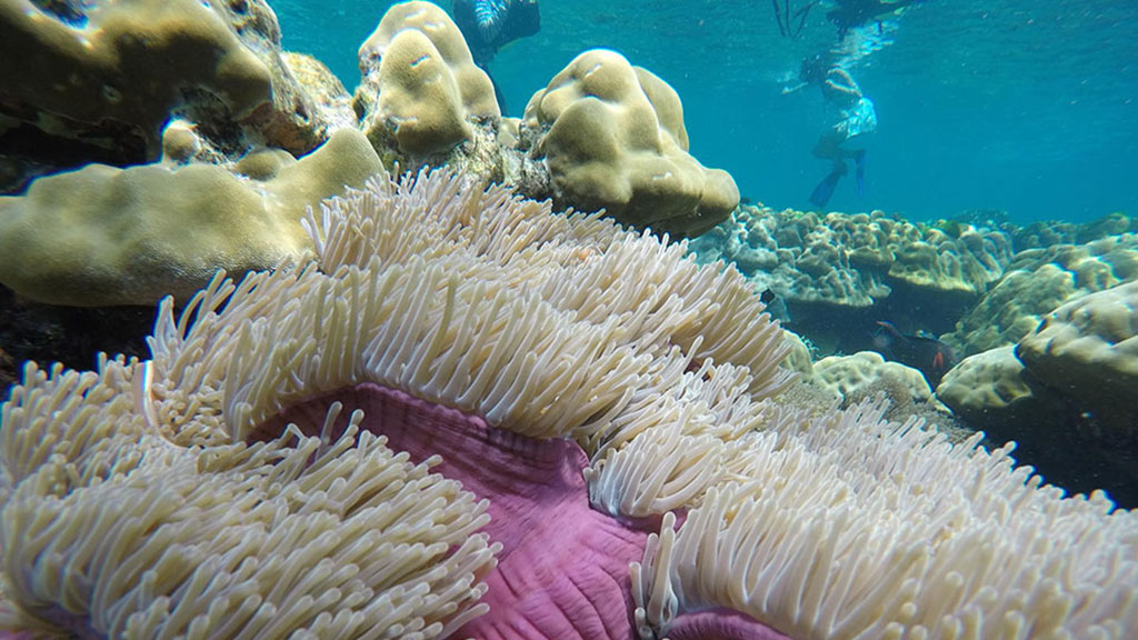 Rok and Haa Islands tour from Phuket