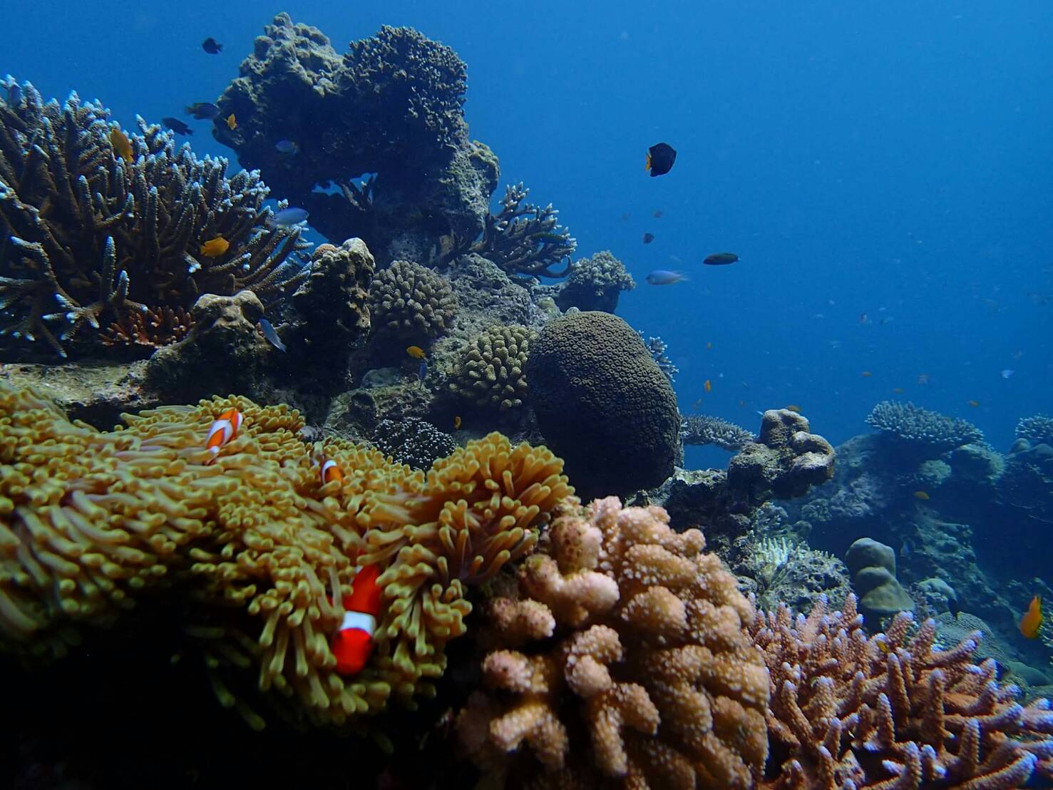 Surin Islands camping trip from Phuket