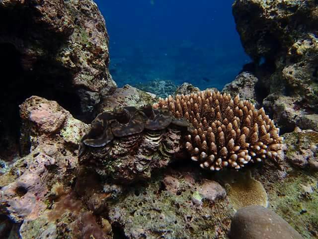 Surin Islands camping trip from Phuket