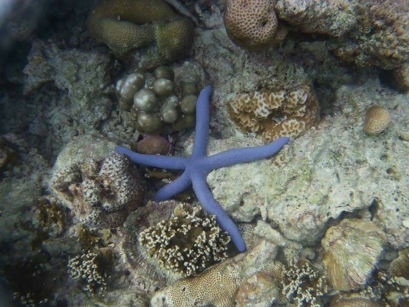 Surin Islands camping trip from Phuket