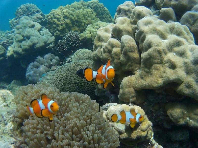 Surin Islands camping trip from Phuket