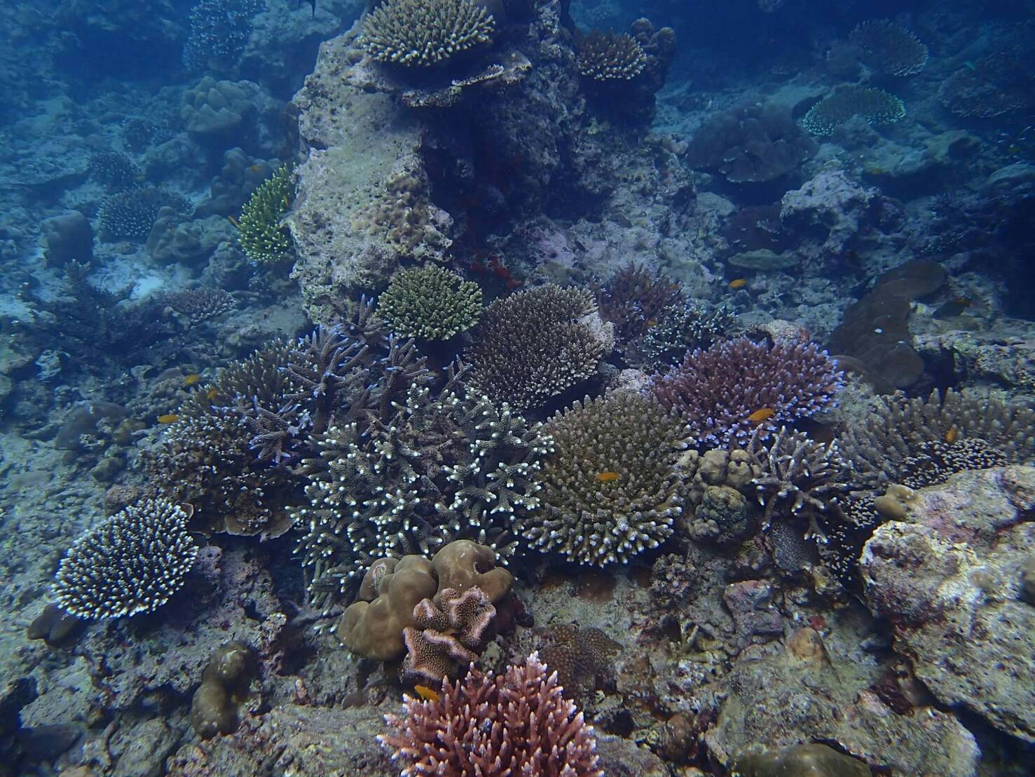 Surin Islands camping trip from Phuket