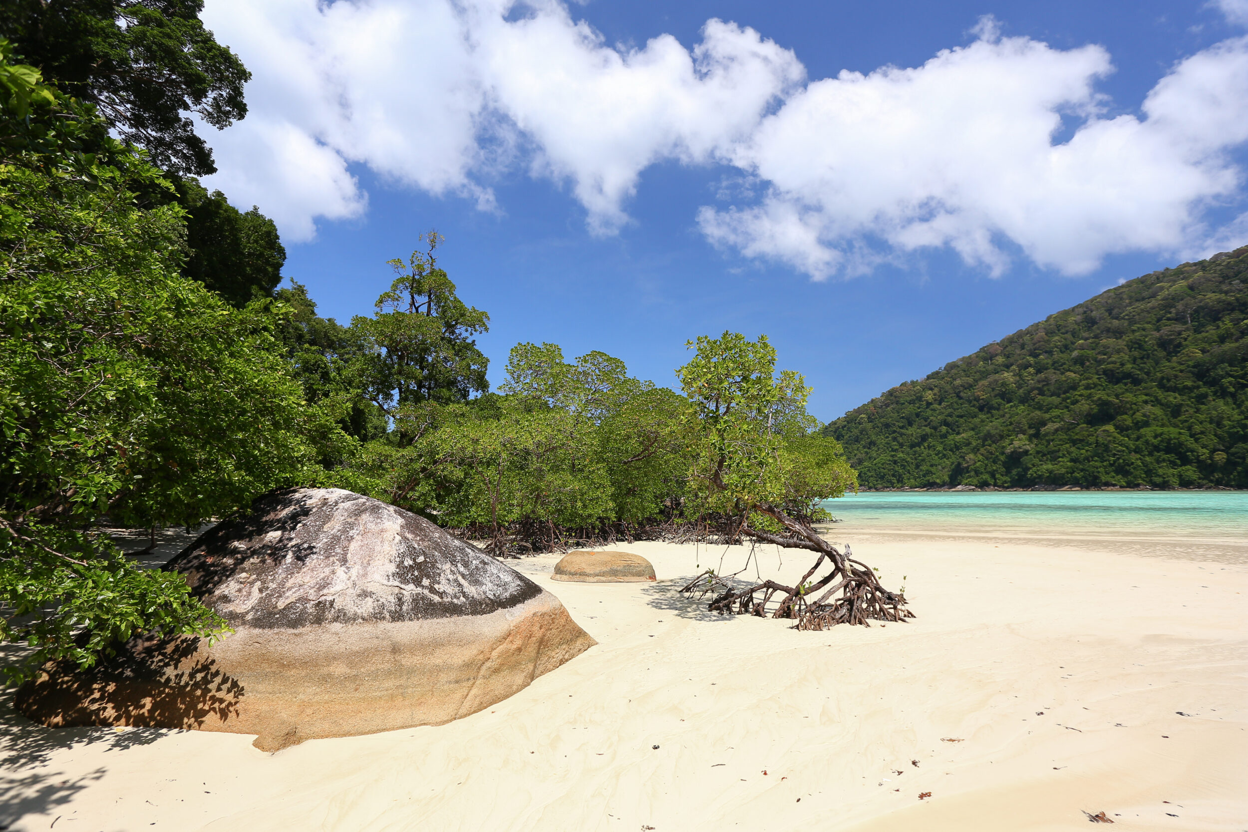 Surin Islands camping trip from Phuket