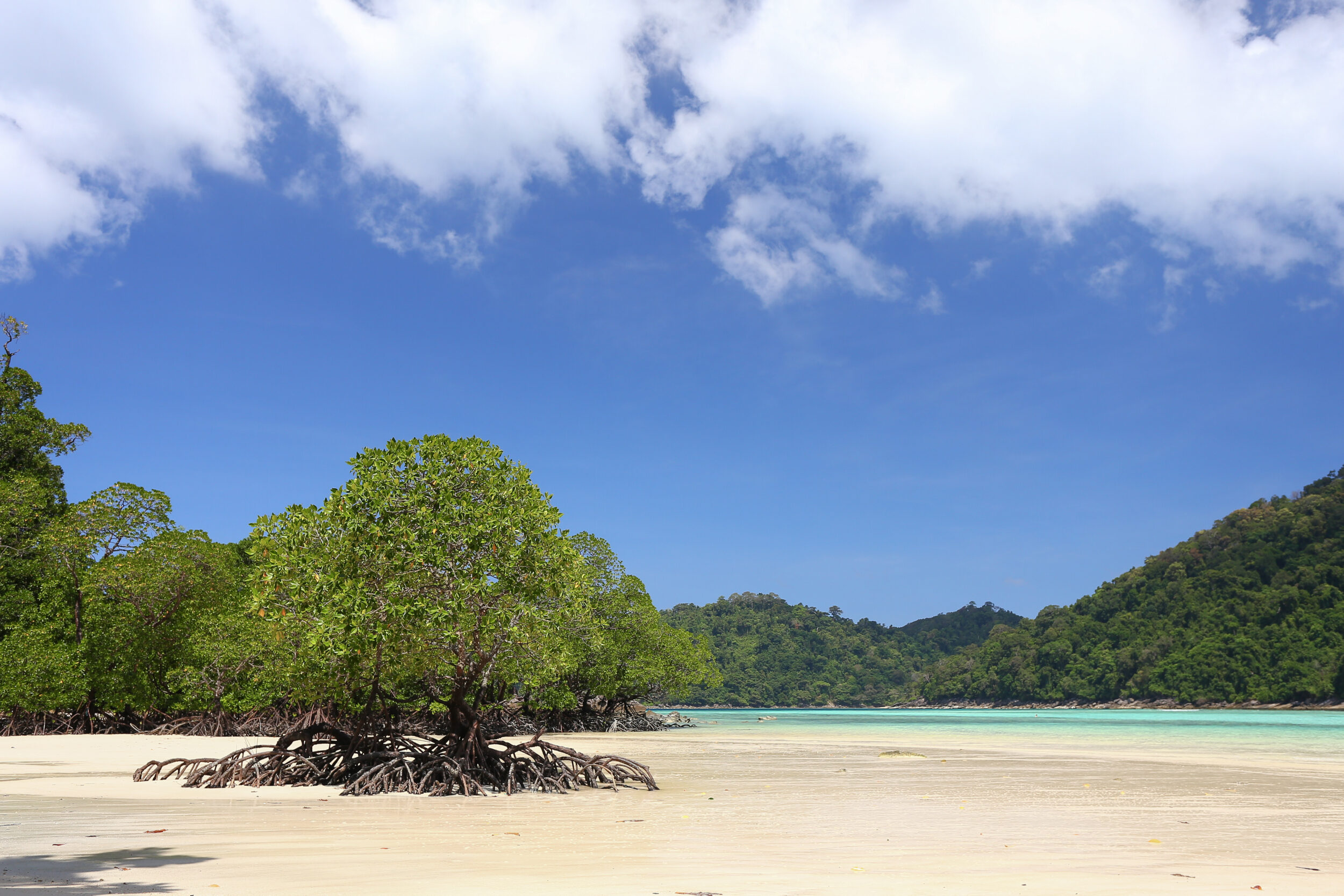 Surin Islands camping trip from Phuket