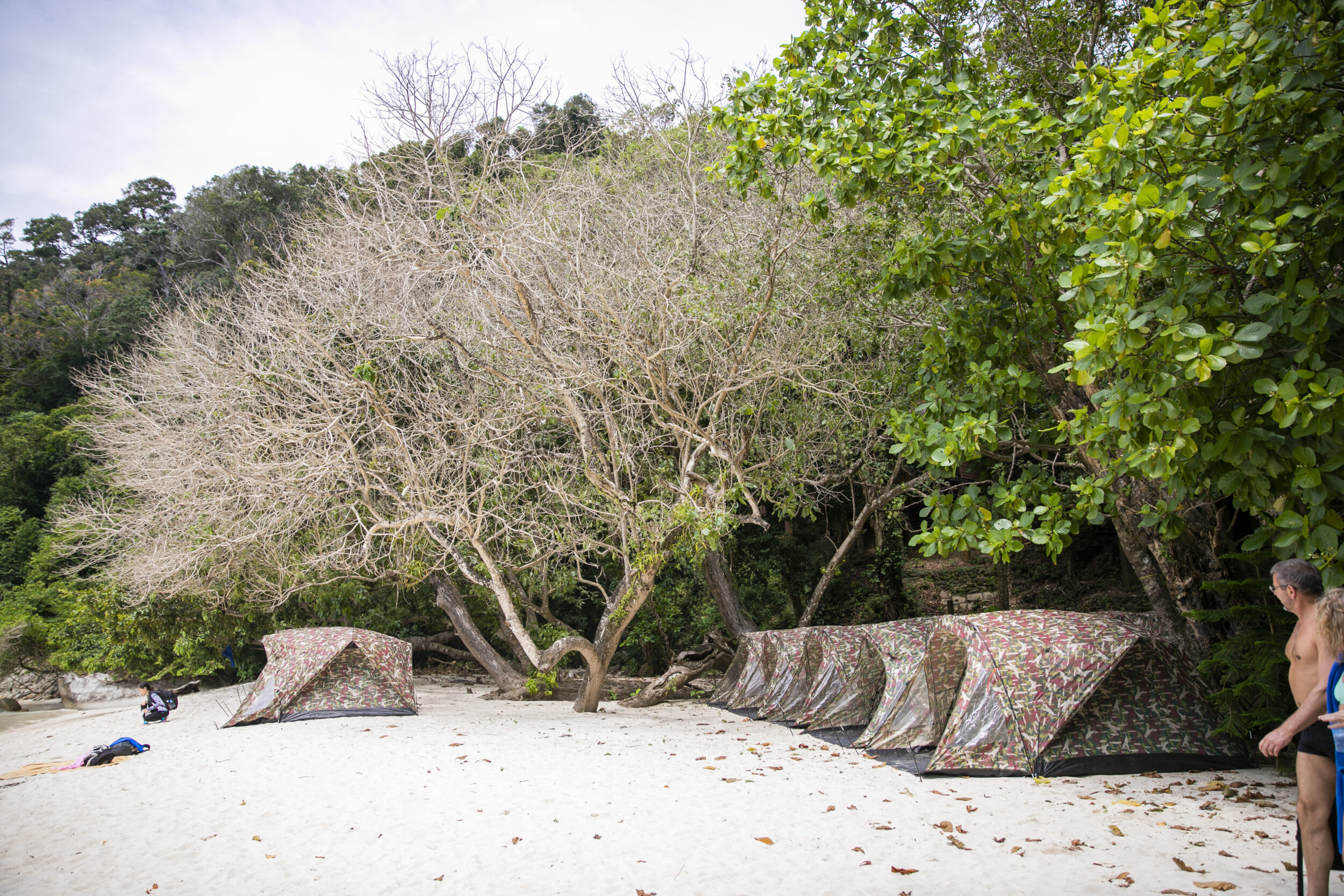 Surin Islands camping trip from Phuket