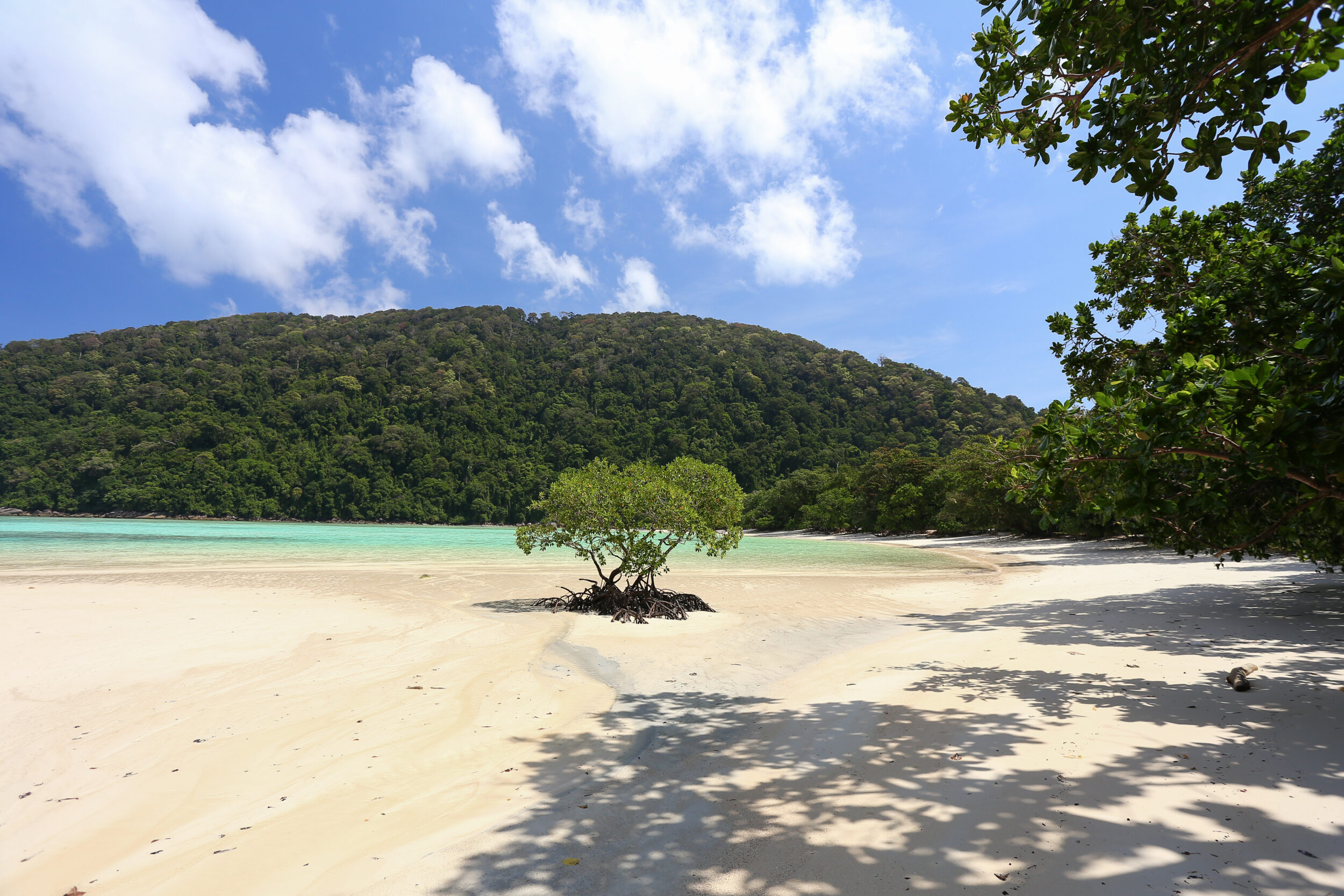 Surin Islands camping trip from Phuket