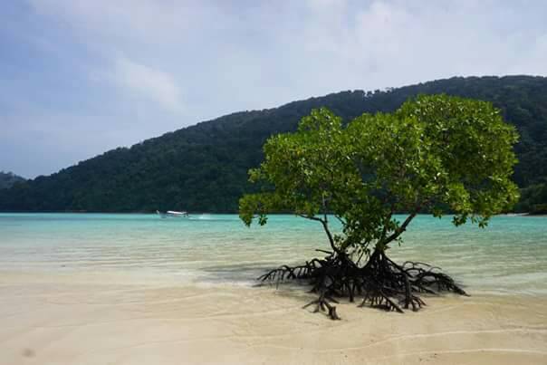 Surin Islands camping trip from Phuket
