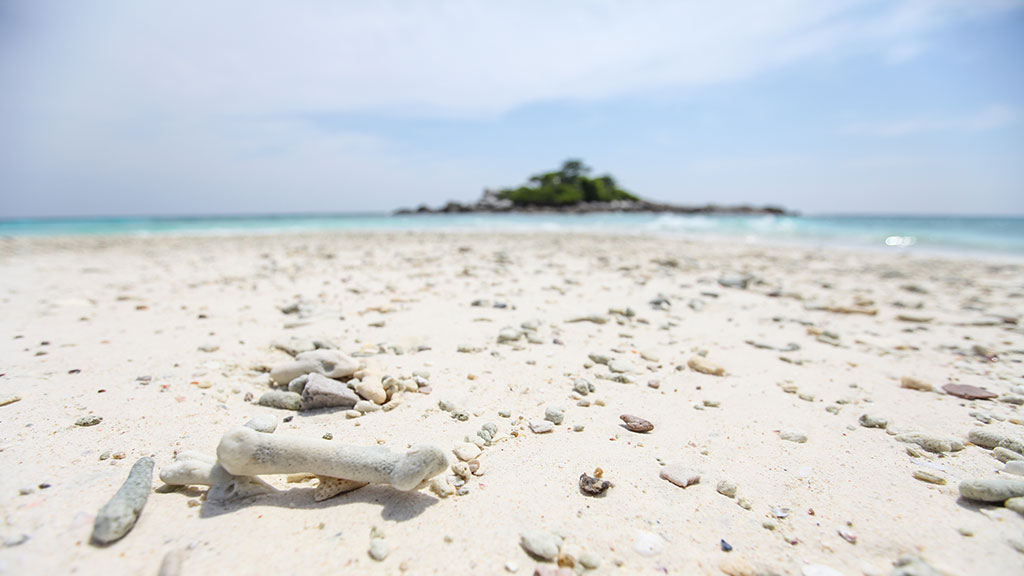 Racha Yai And Racha Noi Island Snorkeling Day Trip From Phuket