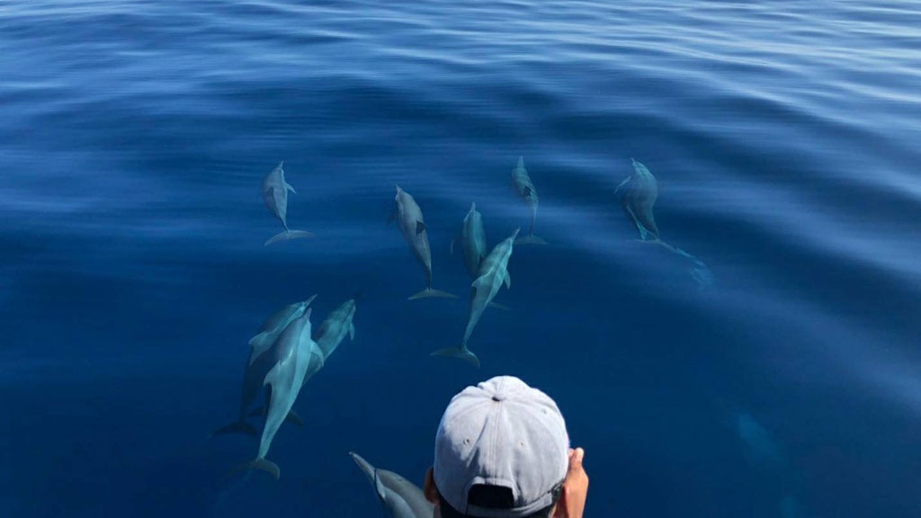 Racha Yai And Racha Noi Island Snorkeling Day Trip From Phuket