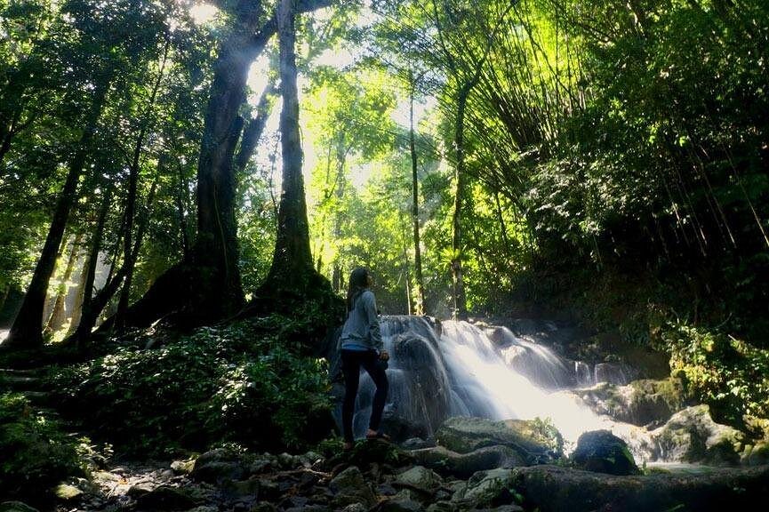 Rafting 5 km Zipline Jungle Tour from Phuket