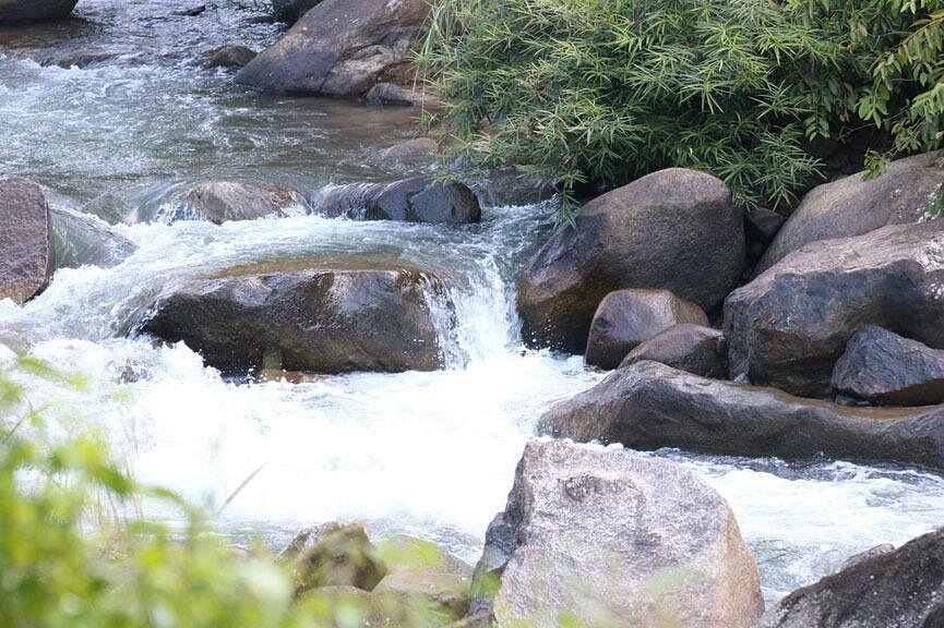 Rafting 5 km Zipline Jungle Tour from Phuket