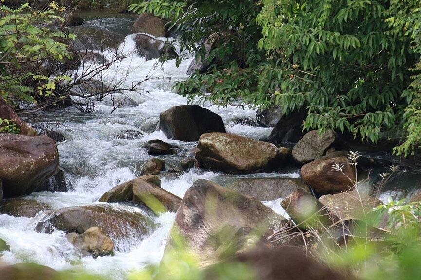 Rafting 5 km Zipline Jungle Tour from Phuket