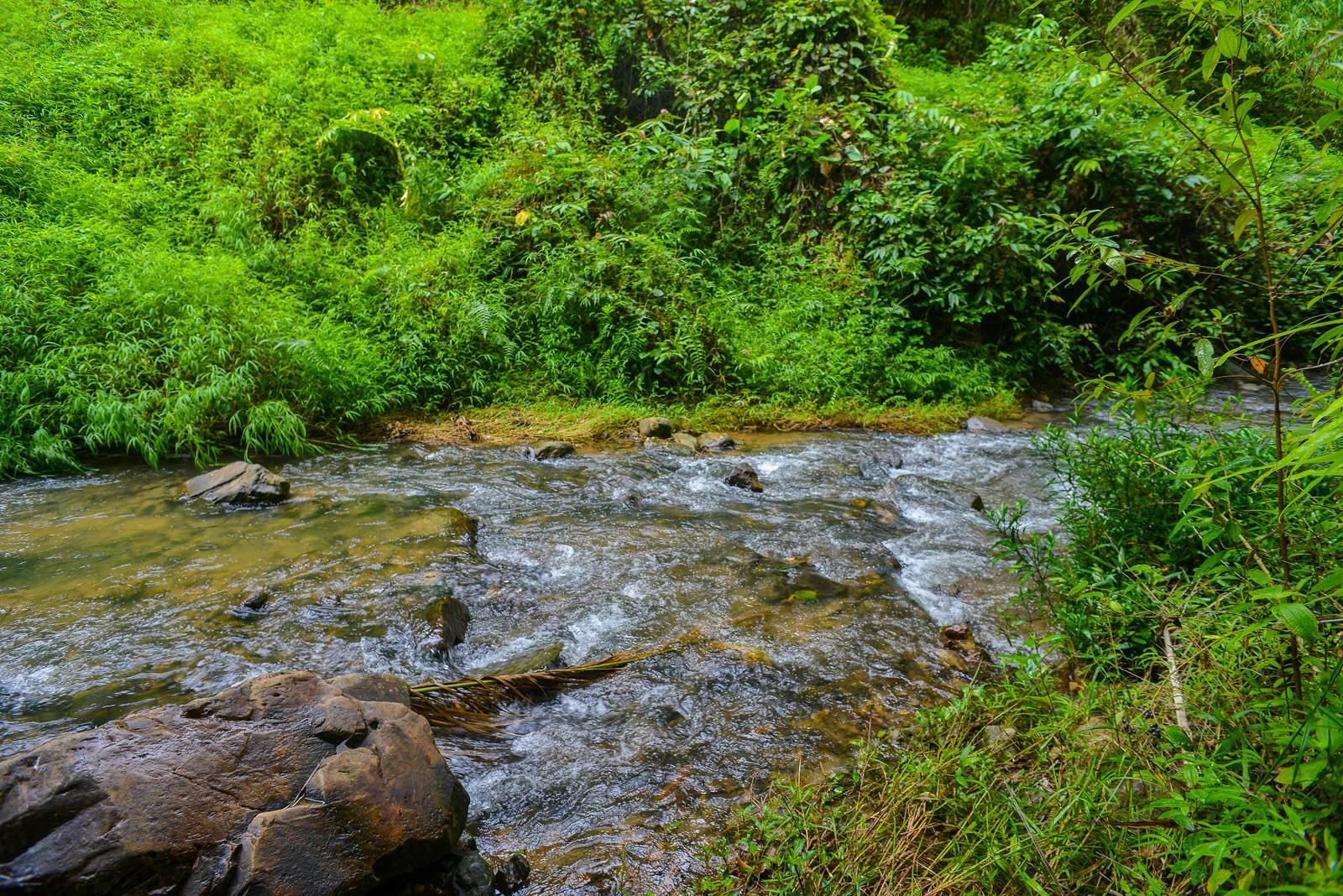 Bamboo Rafting and ATV from Phuket