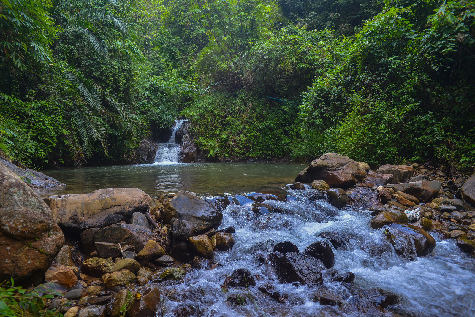 Bamboo Rafting and ATV from Phuket